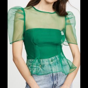 Endless rose puff sleeve sheer green top size M